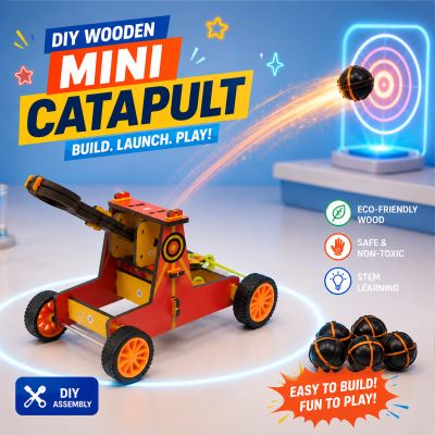 DIY Wooden Mini Catapult Kit for Kids | STEM Learning Toy Launcher